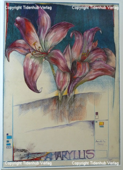 Amaryllis by Ole West