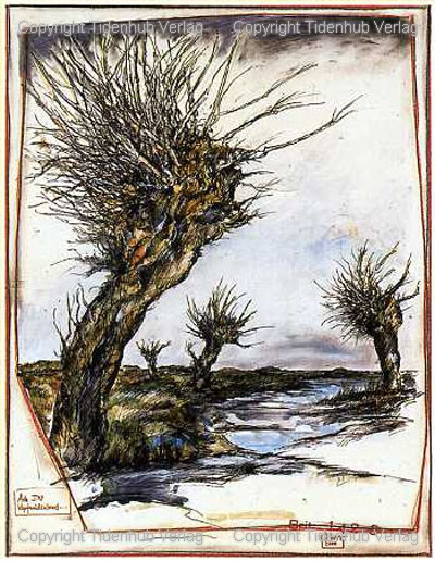 Pollard Willow Land by Ole West