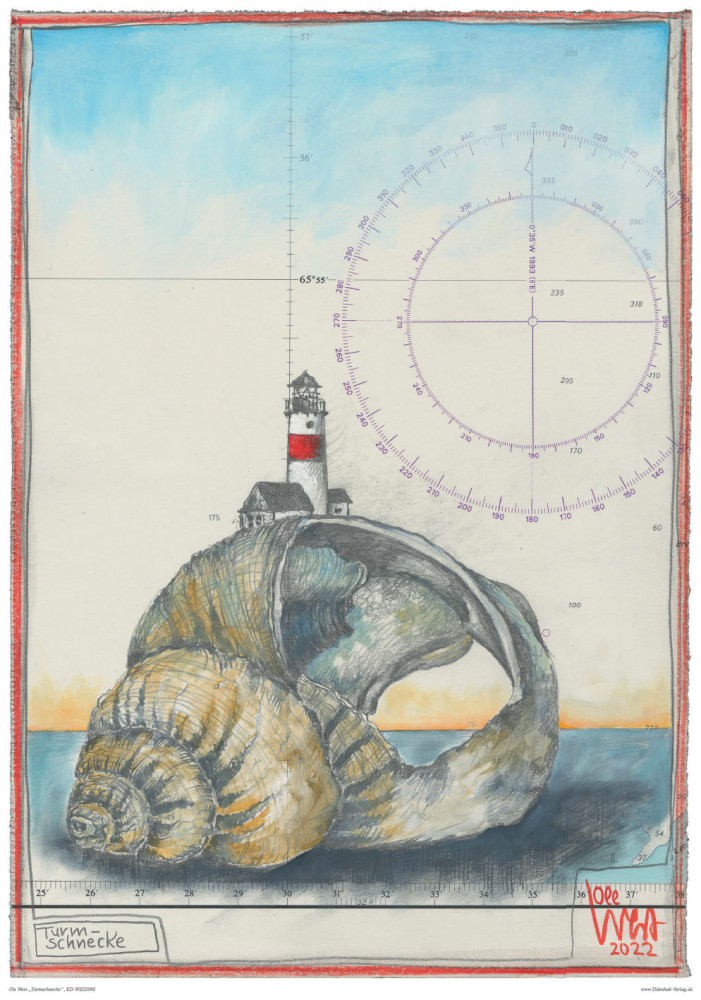 Turret Snail by Ole West