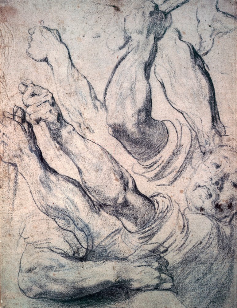 Unknown Image by Peter Paul Rubens