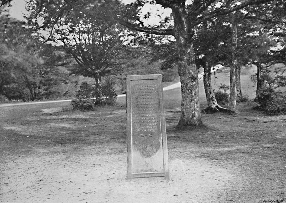 Rufus Stone, New Forest, c. 1896 by Poulton and Co