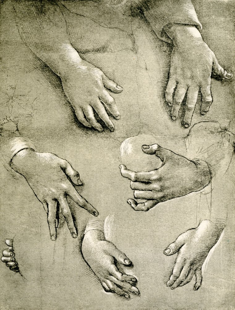 Hand studies to a Madonna by Raffaellino del Garbo