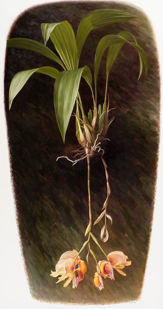 Orchid by Raymond Booth: Highest-quality art reproduction