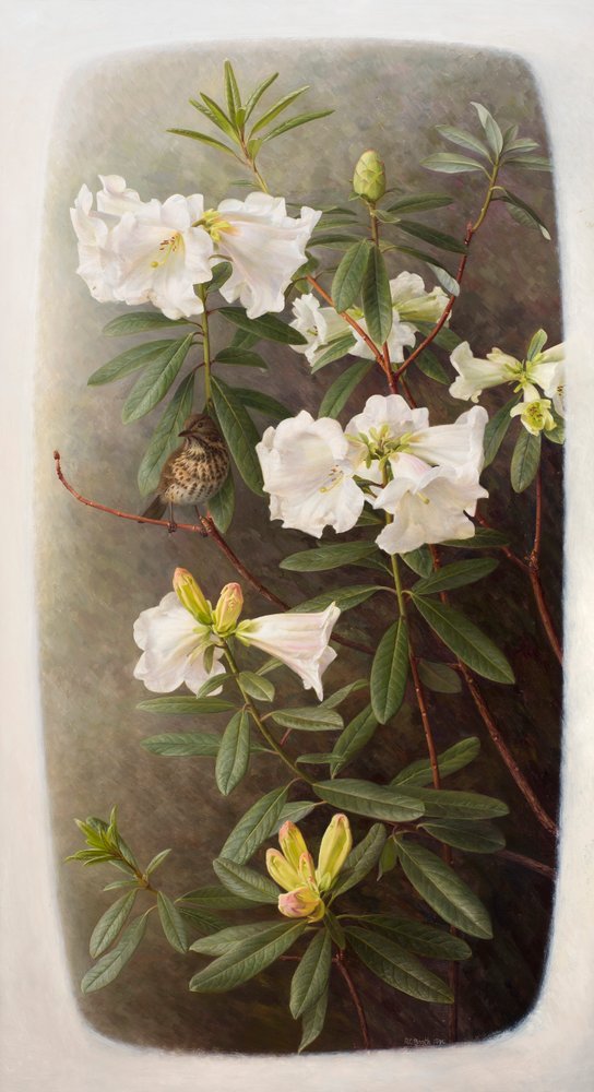 Raymond Booth、Rhododendron'Cowslip' Rhododendron lindleyi by Raymond Booth: Buy fine art prints