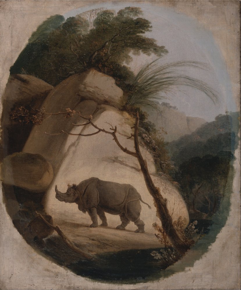 The Indian Rhinoceros by Rev. Edward Thomas Daniell