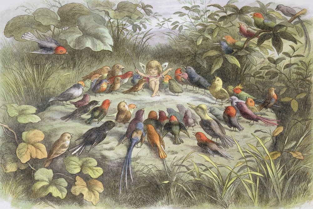 Music Rehearsal in Fairyland, illustration from “In Fairyland. Pictures from the Elf World” by William Allingham and Andrew Lang by Richard Doyle
