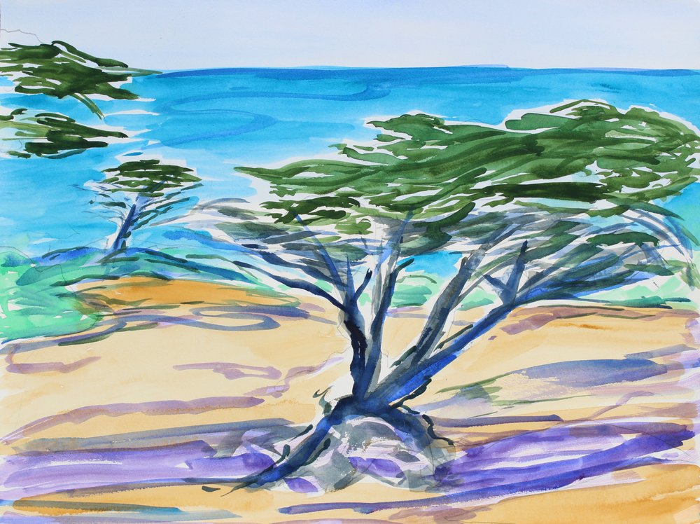 Cypress Tree, Carmel Bay, 2019 by Richard Fox