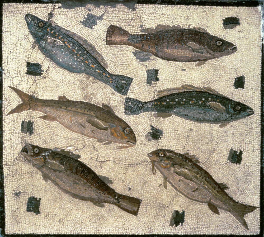 Fish by Roman: Highest-quality art reproduction