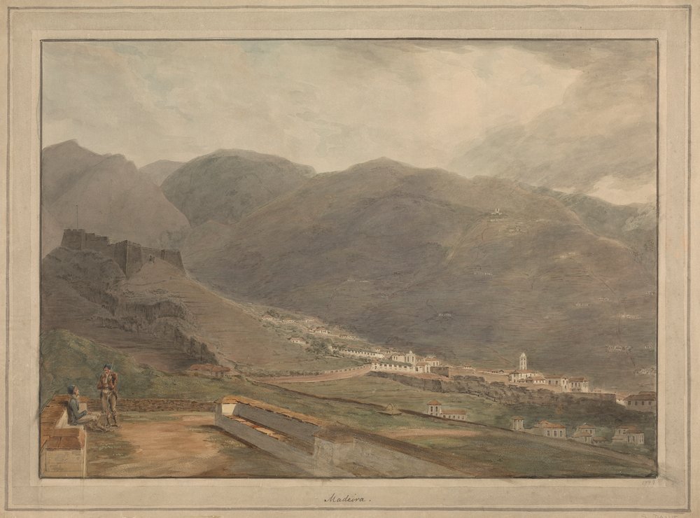 Madeira by Samuel Davis: Highest-quality art reproduction