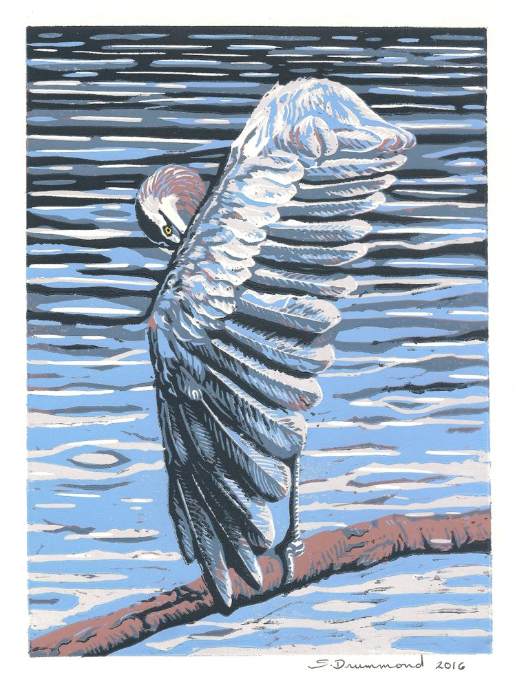 Reflection, 2016 by Sarah Drummond