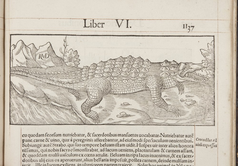 Cosmographia, Fol 1137, 1544 by Sebastian Munster