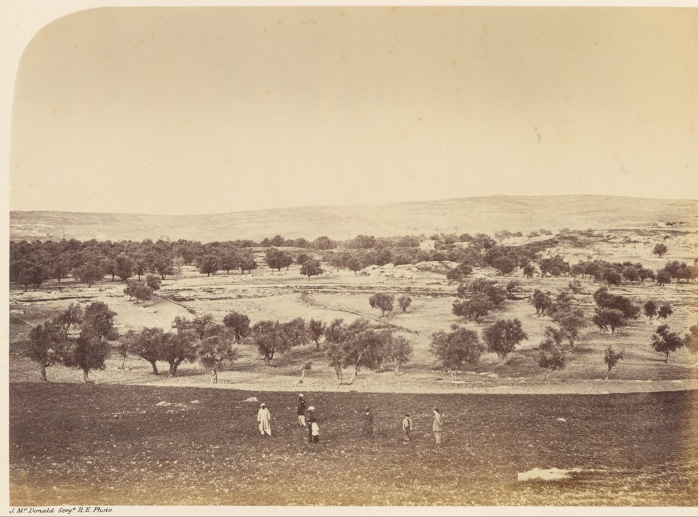 Panoramic View of the City from the North by Sgt. James M. McDonald