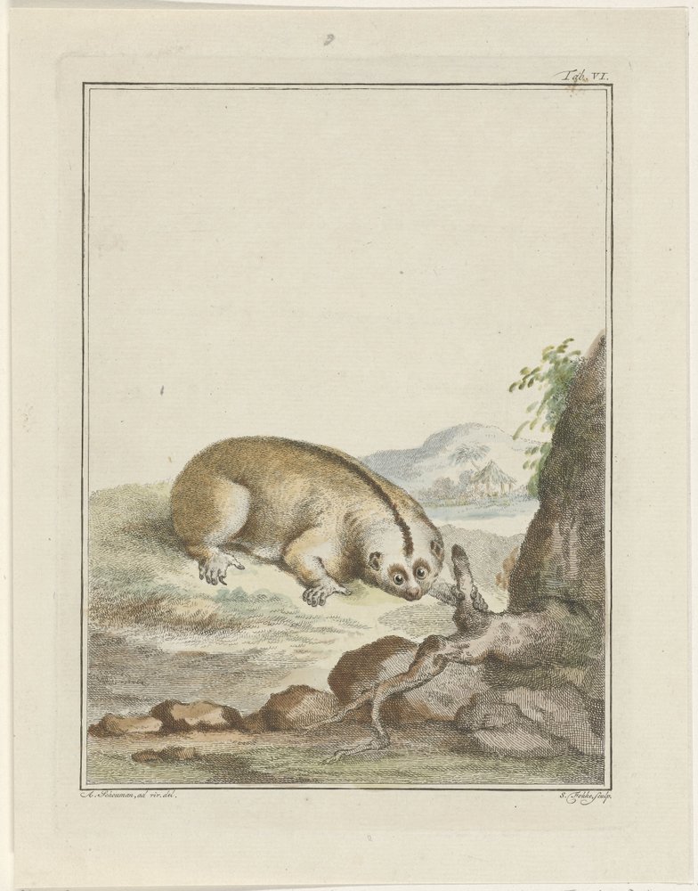 Sloth by Simon Fokke: Highest-quality art reproduction