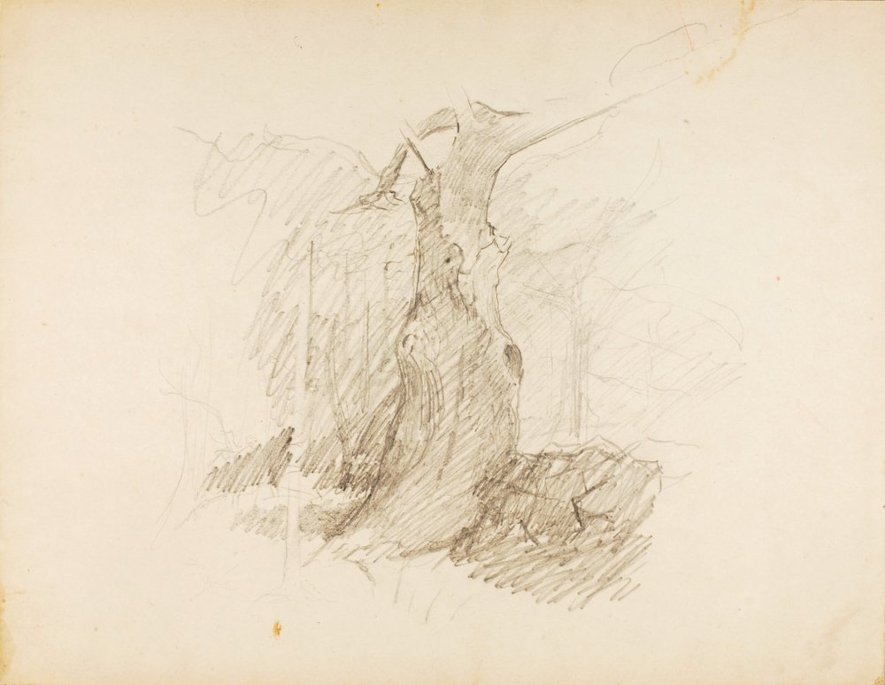 Untitled by Solon H. Borglum