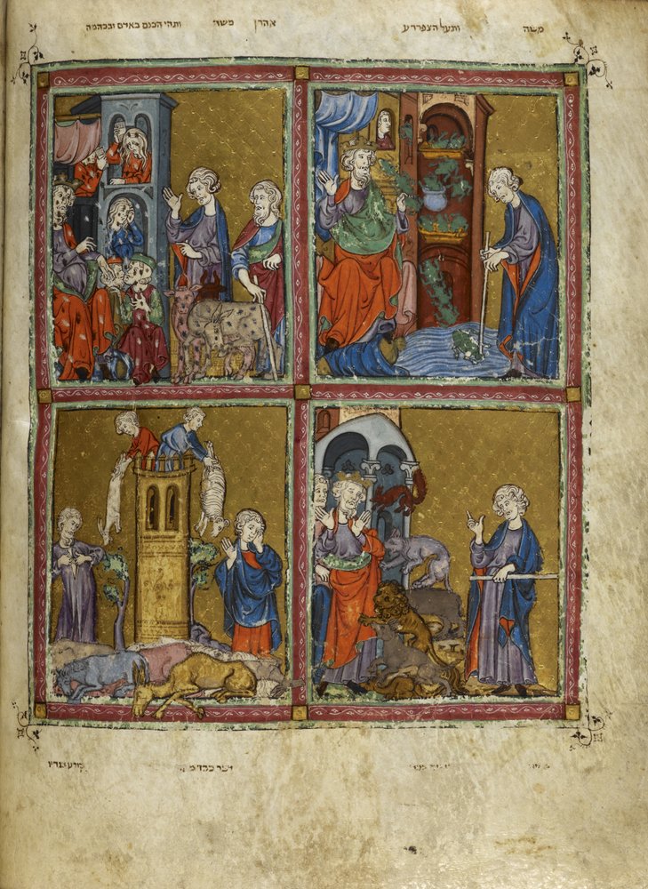 Scenes from Exodus: The plagues of lice, frogs, murrain and pestilence ...