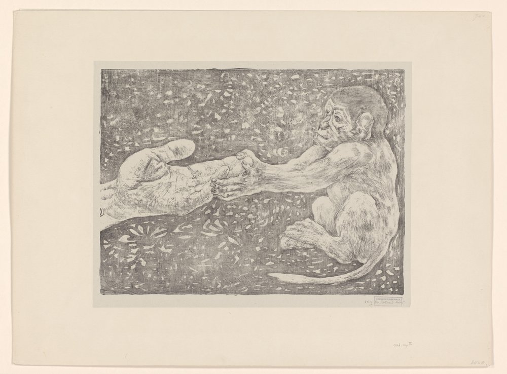 Monkey Grabbing an Outstretched Hand by Theo van Hoytema