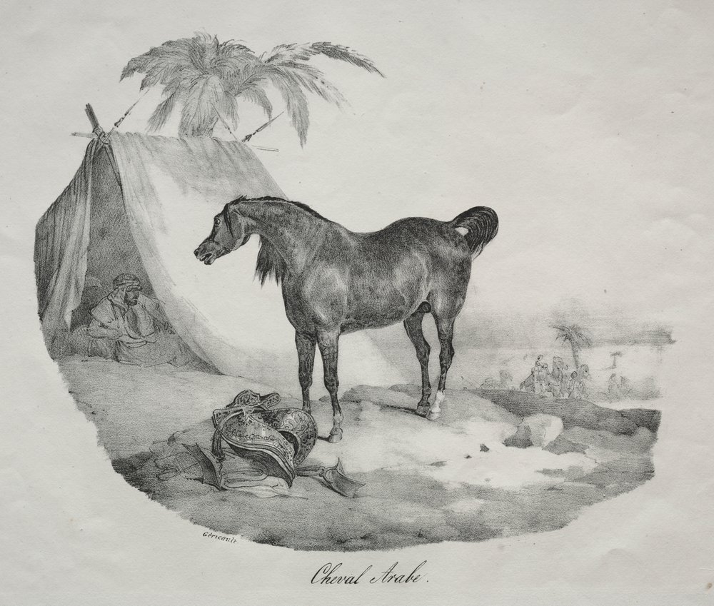 Arab Horse by Theodore Gericault