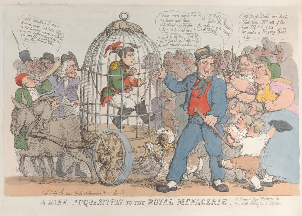 A Rare Acquisition to the Royal Menagerie, July 28, 1815 by Thomas Rowlandson