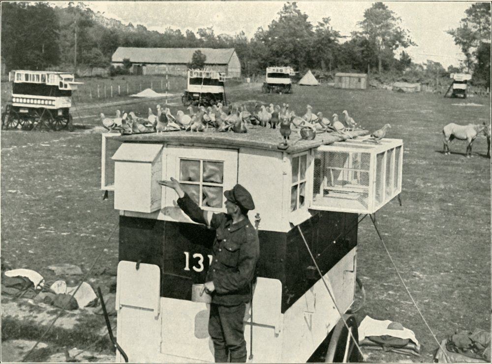 British Army Carrier Pigeons in France: Horse-Drawn Lofts by Unbekannt