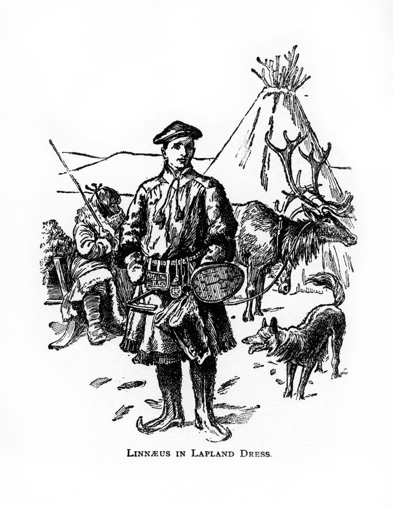 Carolus Linnaeus, 18th Century Swedish Botanist, Physician and ...