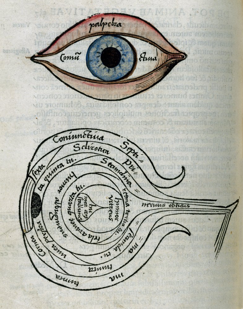 Structure of the eye by Unbekannt: Premium art reproduction