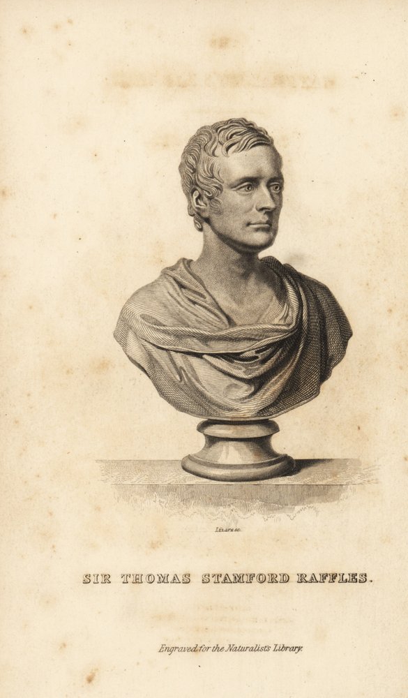 Sir Thomas Stamford Raffles, British statesman, writer and naturalist