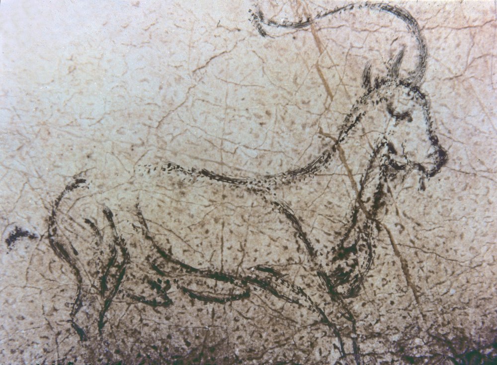 Spanish Nanny Goat, Paleolithic Period, c. 40000-12000 BC by Unbekannter Künstler