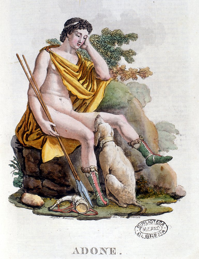 Adonis. Greek god of Phoenician origin. 19th-century engraving. Biblioteca nazionale Braidense. Milan by Unknown artist