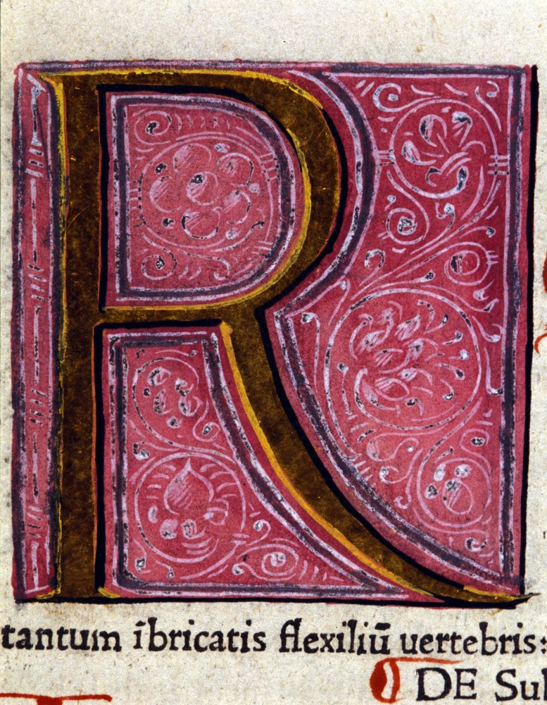 De Letter R