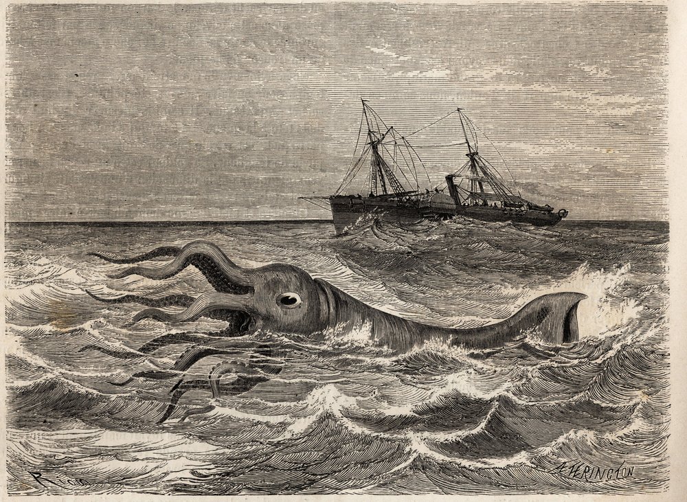 An 18-Foot Giant Octopus Seen in the Ocean by Unknown artist