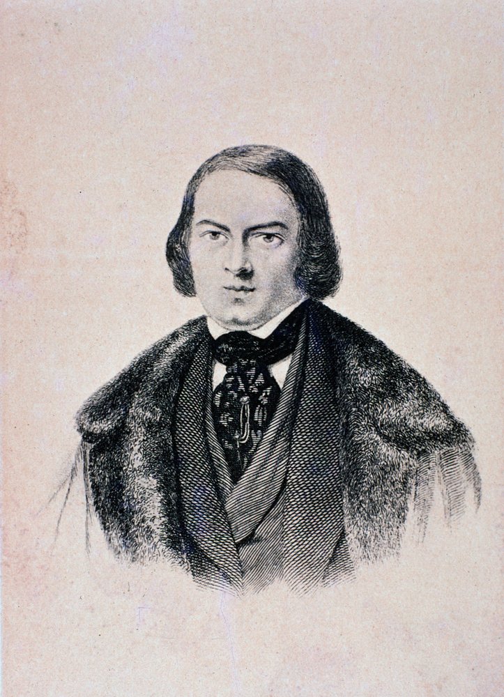 Schumann-Frequenz 7,83 Hz Plug-In-Stecker