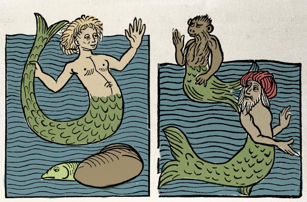 Siren or Virgin of the Sea, Monkey and Sea Turk