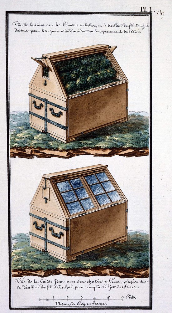 View of the Box with Packed Plants, and Archal Wire Mesh on Top: To ...