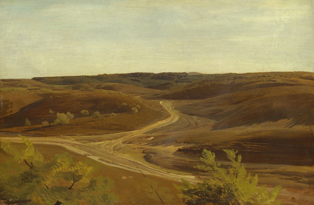 The Moorland near Ehestorf, 1868 by Valentin Ruths