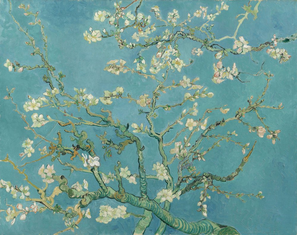 Almond Blossom by Vincent van Gogh
