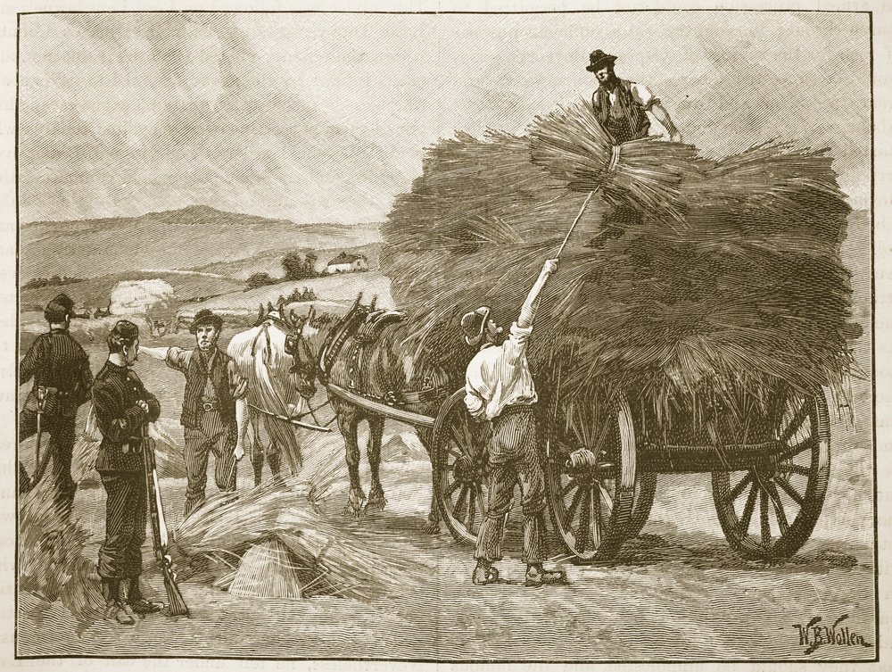 The saving of Captain Boycott's crops, illustration from 'Cassell's ...