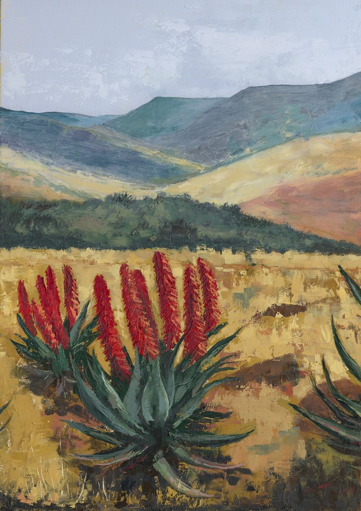 Red Aloe Hillside by Alex Cornell