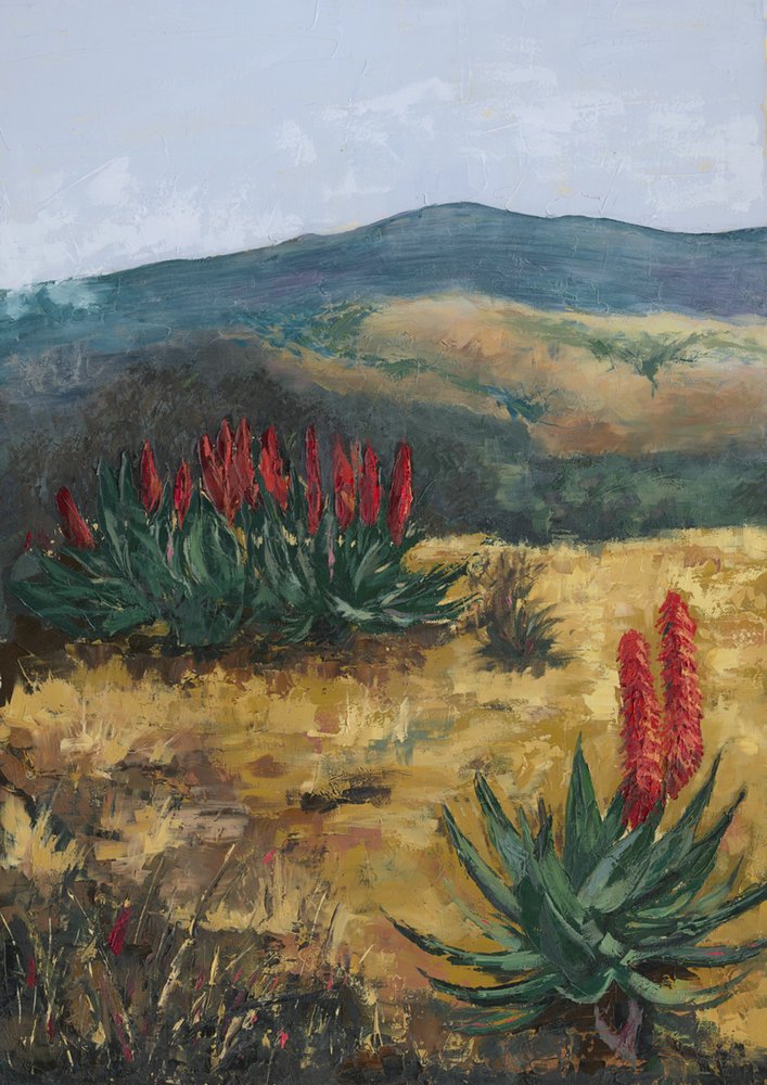 Red Aloes Desert Hills by Alex Cornell