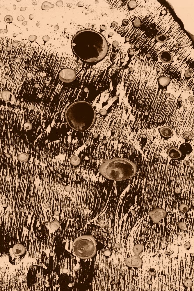 Oxygen by Alexander Adiels