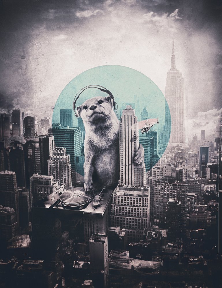 Urban Otter DJ by Ali Gulec
