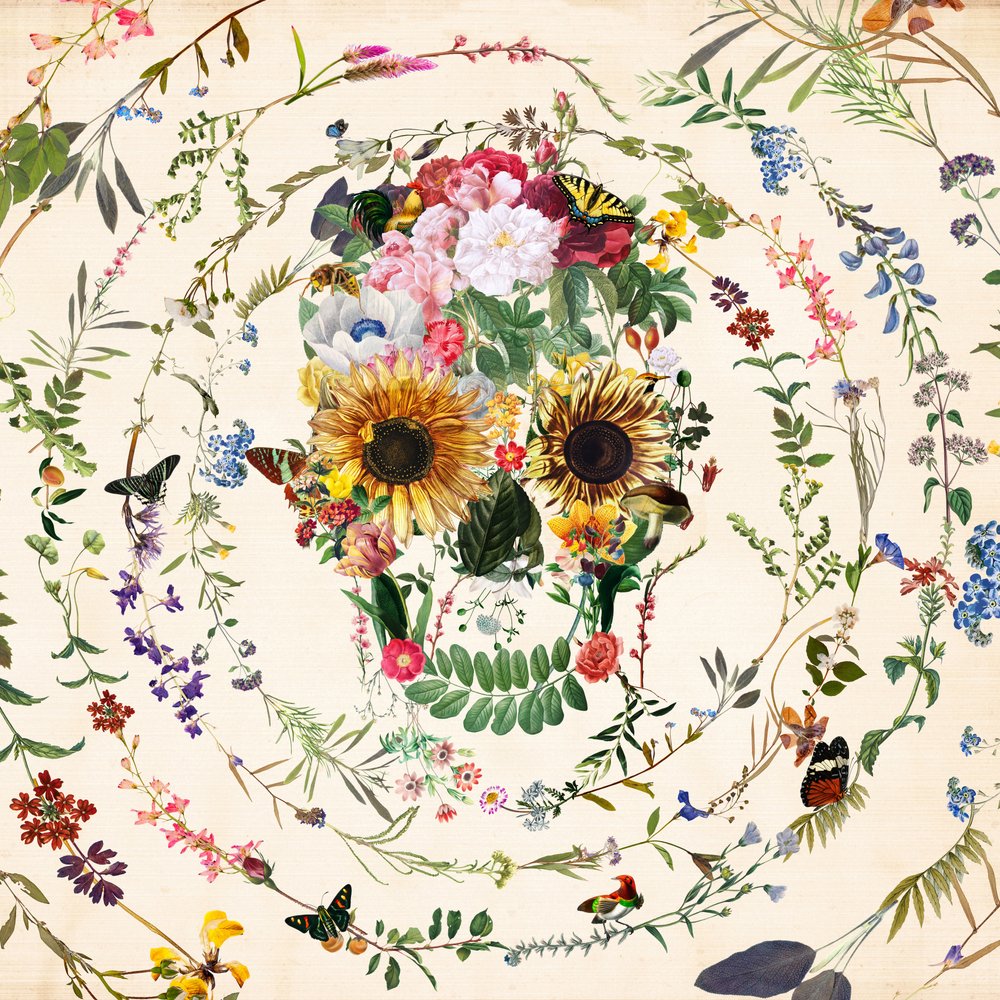 Vibrant Floral Skull by Ali Gulec