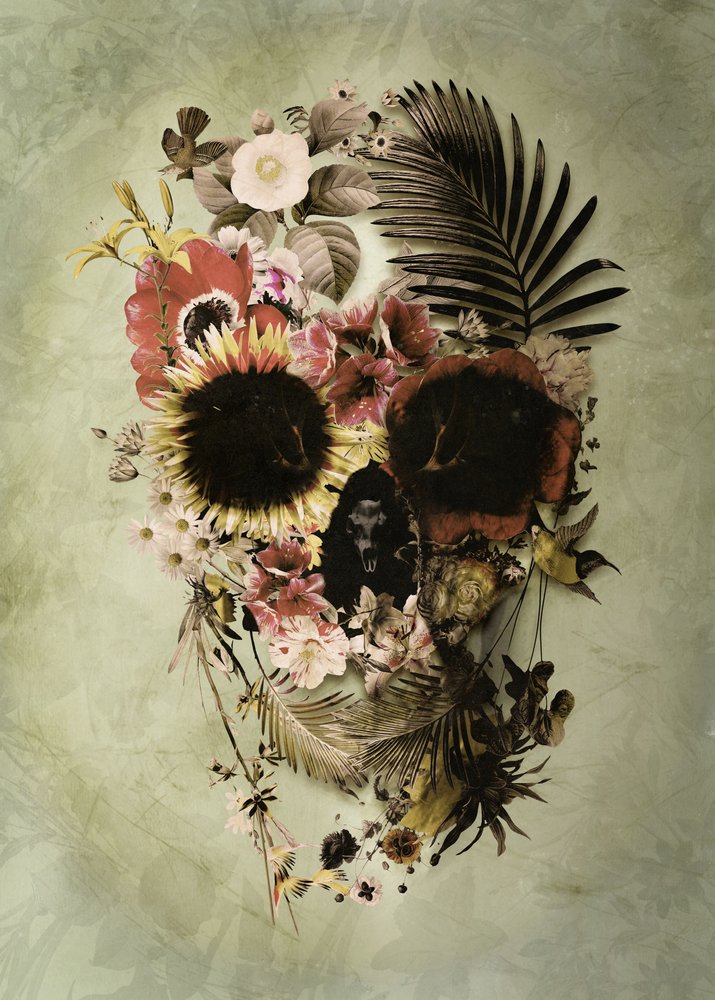 Vintage Floral Skull by Ali Gulec