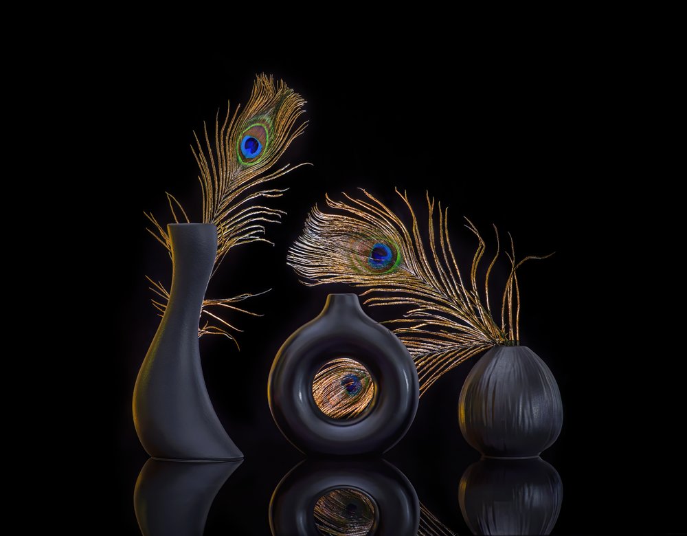 Elegant Peacock Still Life by Alice Sheng