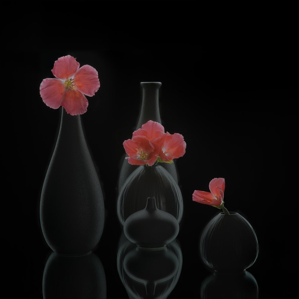 Minimalist Floral Vases by Alice Sheng