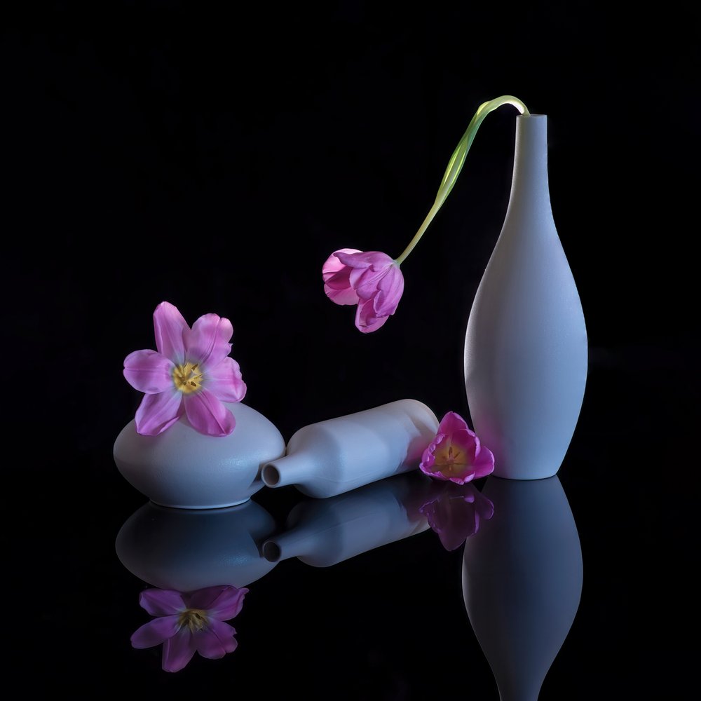 Reflected Purple Tulips by Alice Sheng