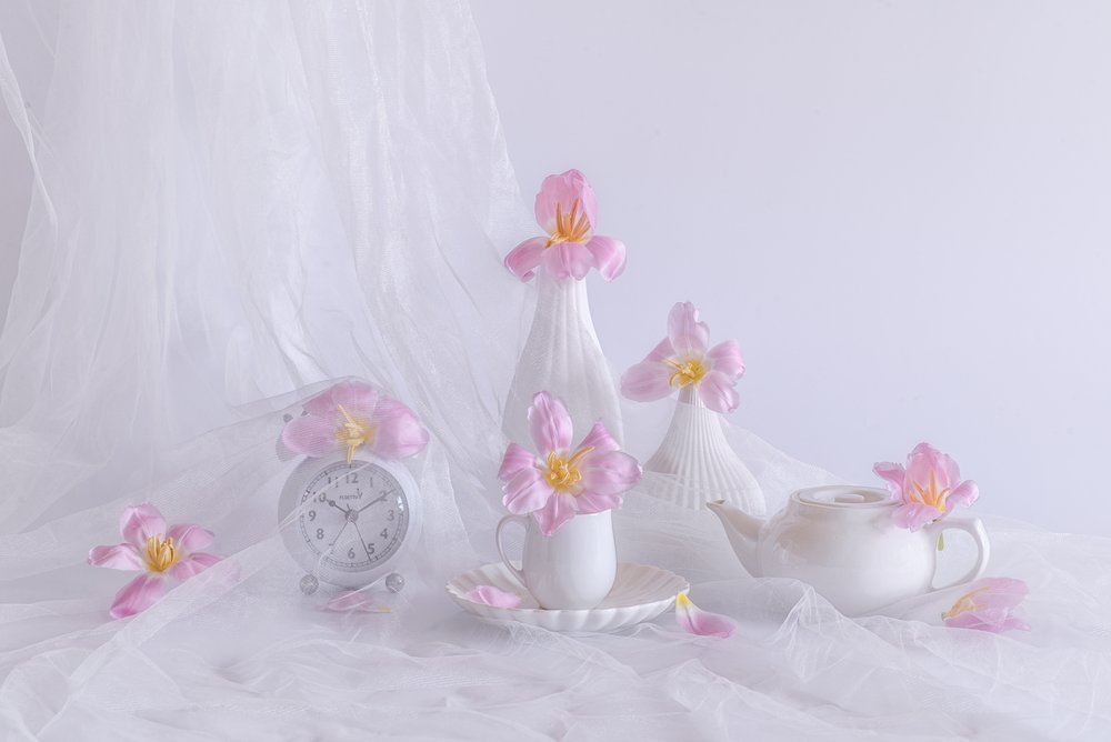 Soft Pink Tulips by Alice Sheng