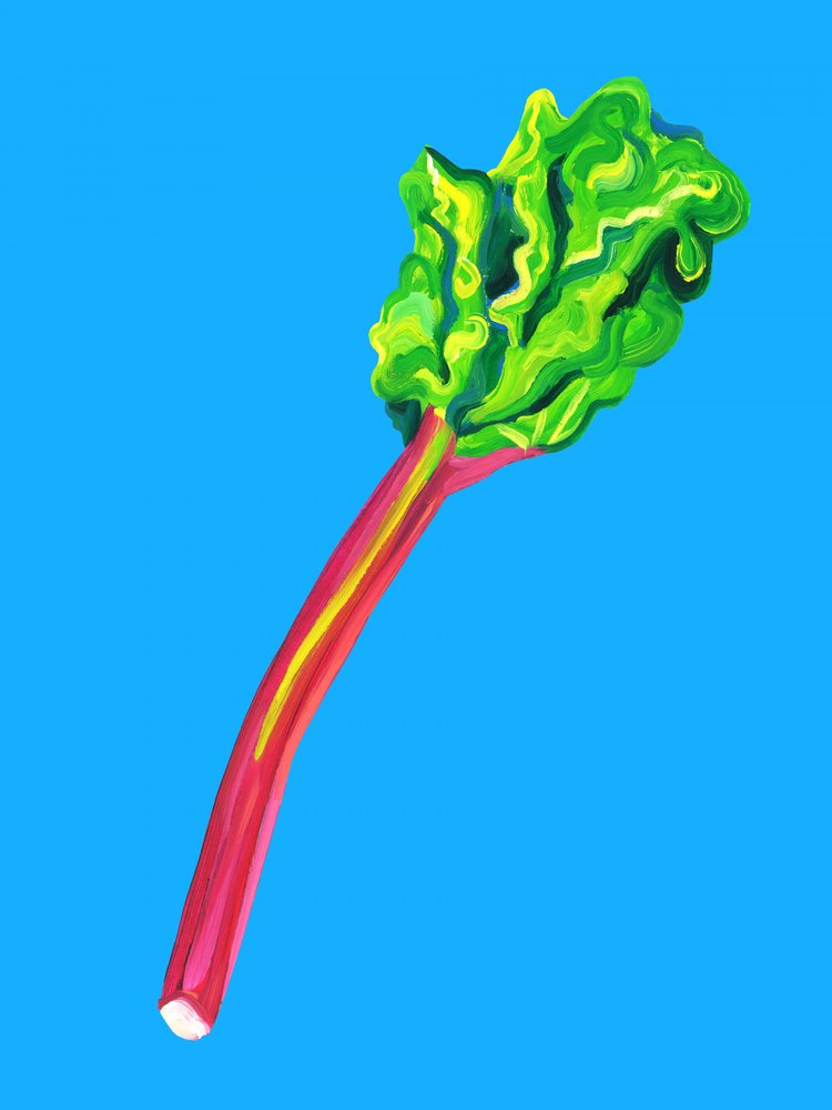 Fresh Rhubarb Stalk by Alice Straker