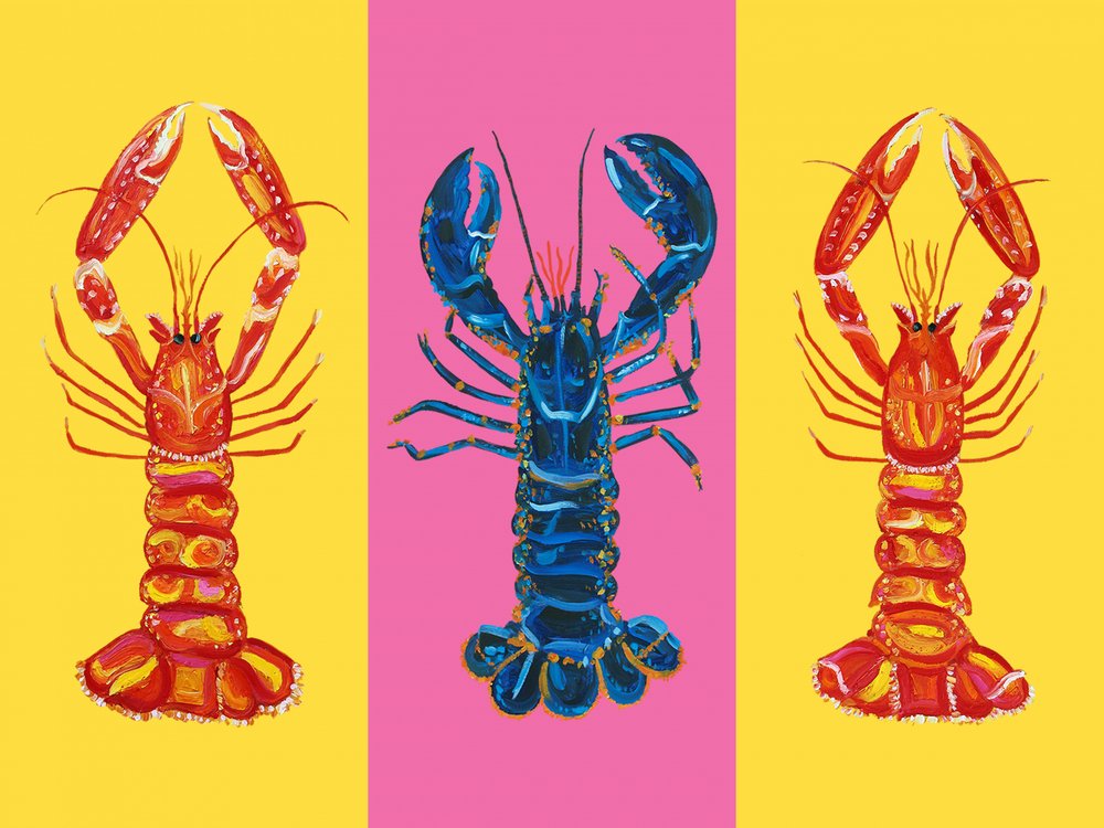 Lobster Langoustines Pop Art 2 by Alice Straker