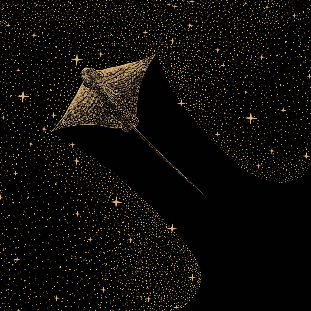 Cosmic Eagle Ray by Alirıza ÇAKIR