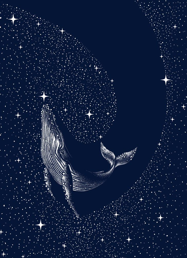 Cosmic Whale Dream by Alirıza ÇAKIR